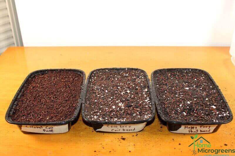 soil for microgreens test day 0