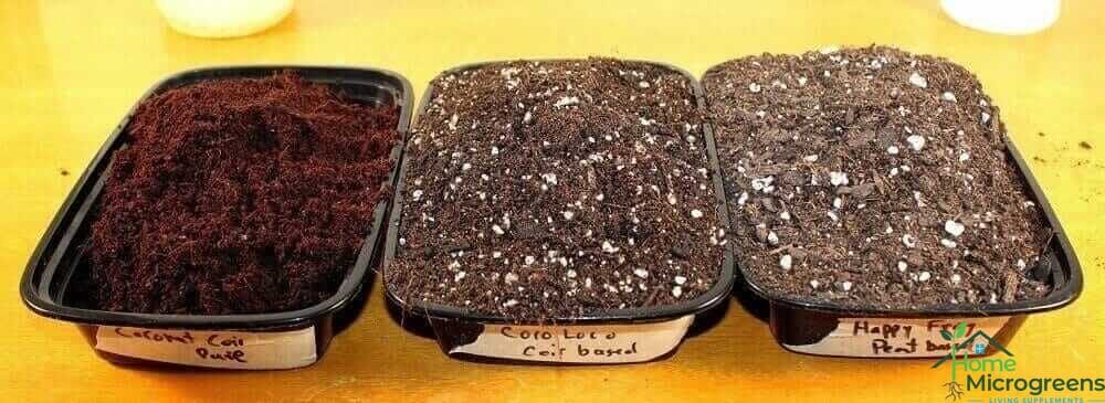 soil for microgreens