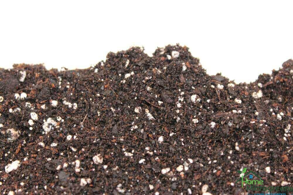 microgreen soil