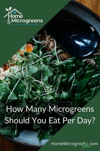 how much microgreens to eat per day