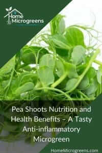 pea shoot nutrition