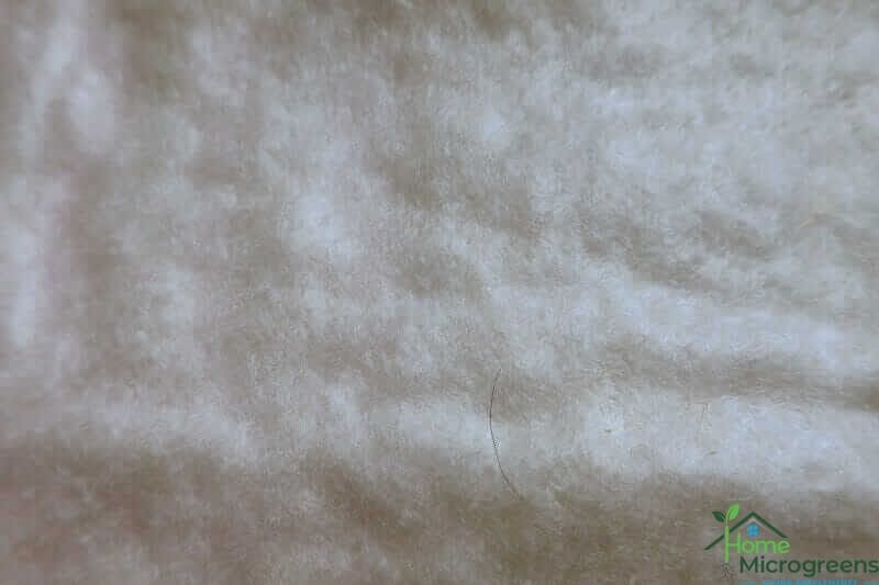 vegbed microgreen bamboo grow mat