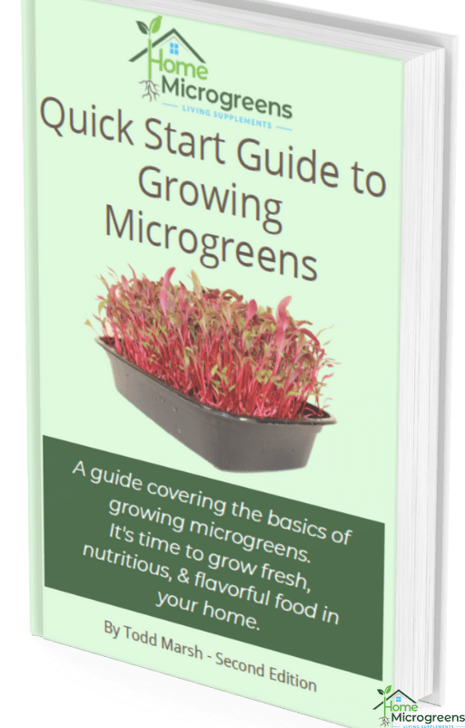 free microgreen grow guide
