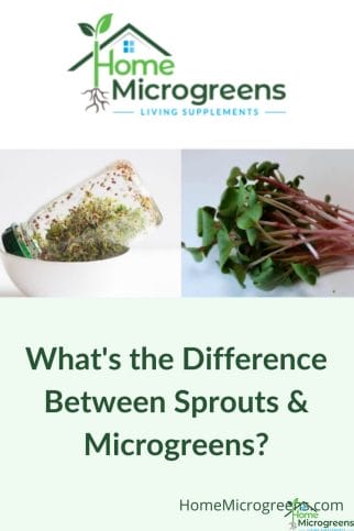 sprouts or microgreens?