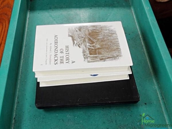 using books for weight
