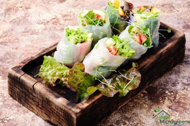 spring rolls with microgreens