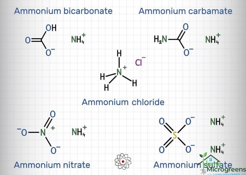 Ammonium chemical species