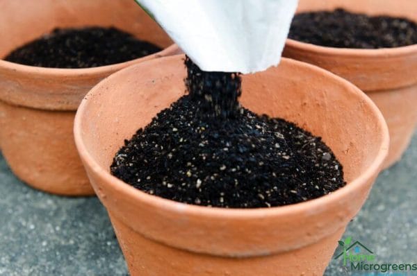 do all potting mixes have wetting agents?